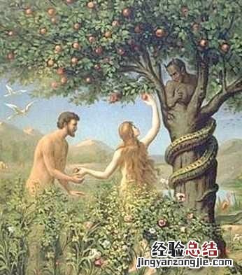 禁果是什么,为什么在圣经里,禁果是苹果呢