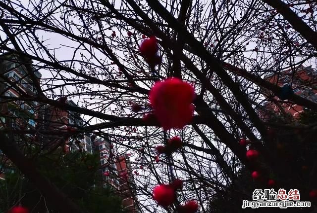 人类消失水泥建筑可以保留多少年
