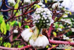人类消失水泥建筑可以保留多少年