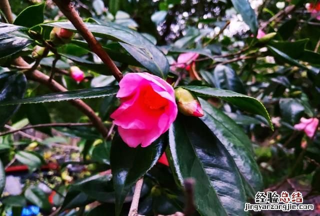 人类消失水泥建筑可以保留多少年