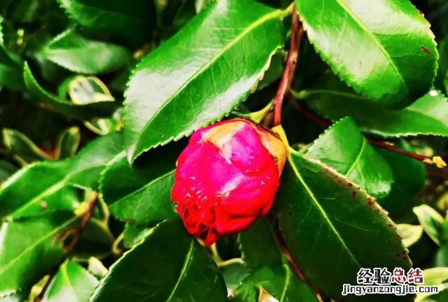 人类消失水泥建筑可以保留多少年