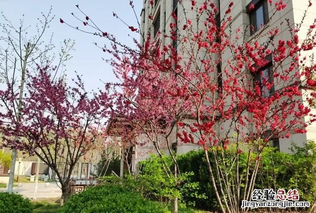 买房子需要注意什么然后再签合同 买房子需要注意什么