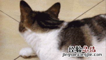 孕妇真的需要防辐射吗