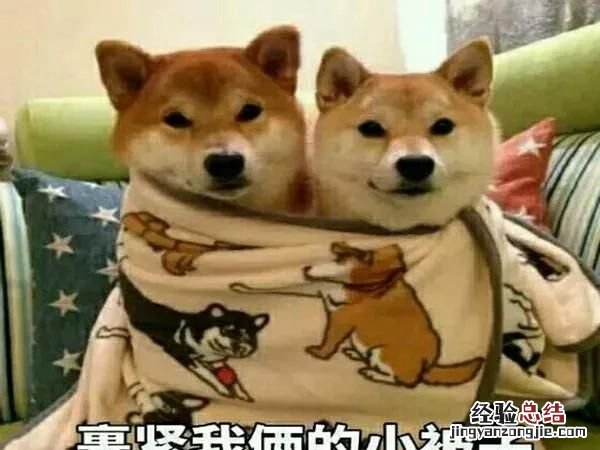 孕妇真的需要防辐射吗