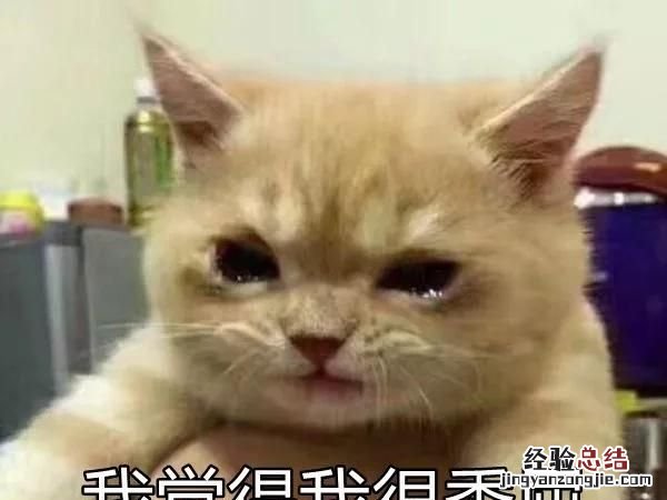 孕妇真的需要防辐射吗