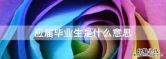 应届毕业生是什么意思，视同2021届应届毕业生是什么意思