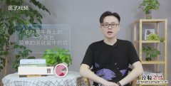 毛肚是什么动物身上的，毛肚是什么动物身上长的