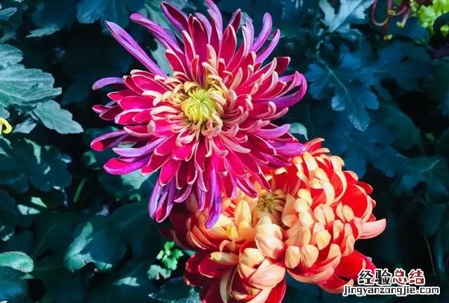 企业已被列入经营异常名录怎么办