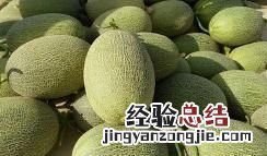 新疆特产，新疆都有什么特产