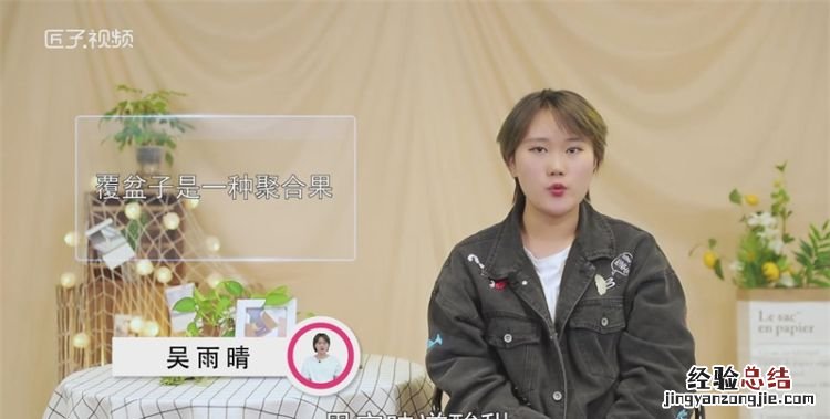 覆盆子是什么，朗姆覆盆子是什么