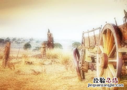 四不像是什么动物组成 四不像是什么动物生肖