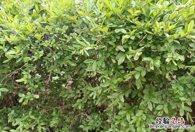 找地下水测水仪 怎样找地下水