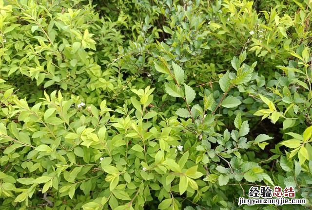 找地下水测水仪 怎样找地下水