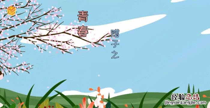 韶华是什么意思，一世韶华是什么意思