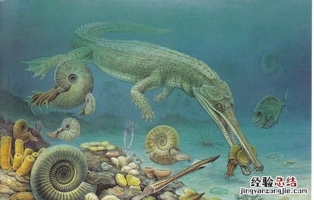 动物化石是怎样形成的