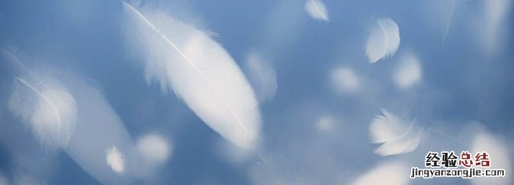 白鸭绒和灰绒的区别，白鸭绒和灰鸭绒的区别