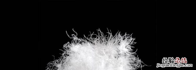 白鸭绒和灰绒的区别，白鸭绒和灰鸭绒的区别