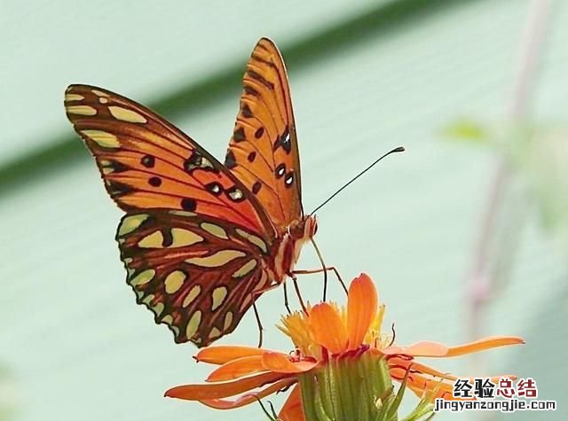 职场新人如何处理好人际关系