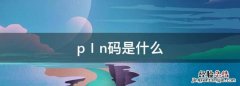 pin码是什么，电脑pin码是什么意思