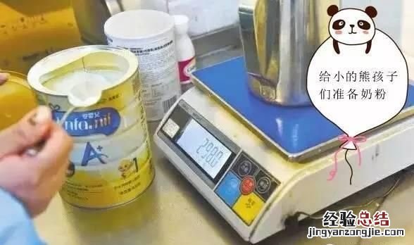 饲养熊猫的经历 饲养熊猫是一种怎样的体验