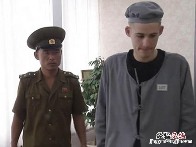 饲养熊猫的经历 饲养熊猫是一种怎样的体验
