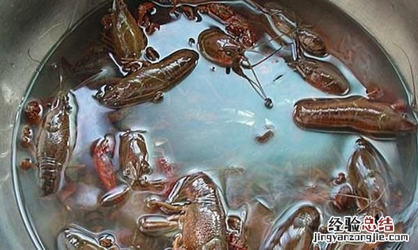 龙虾怎么清洗,小龙虾怎么清洗