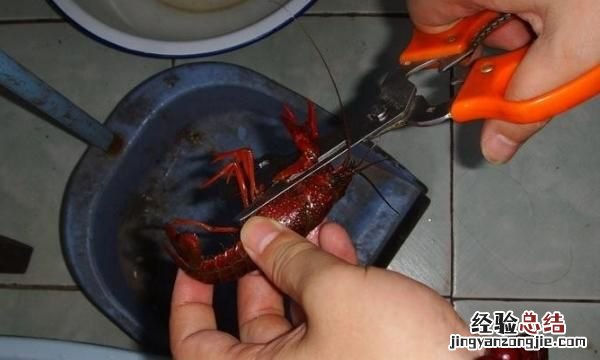 龙虾怎么清洗,小龙虾怎么清洗