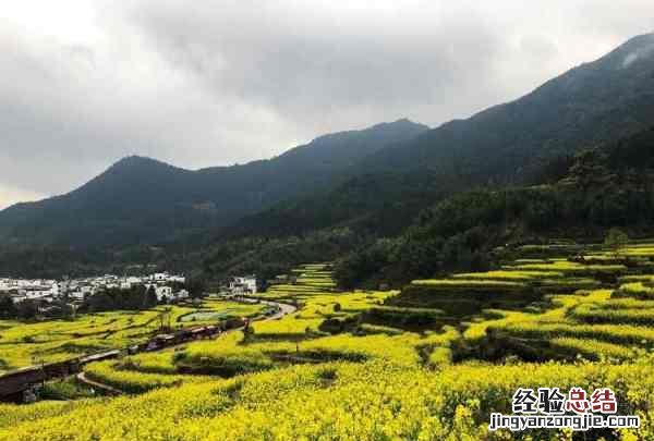 婺源在哪里