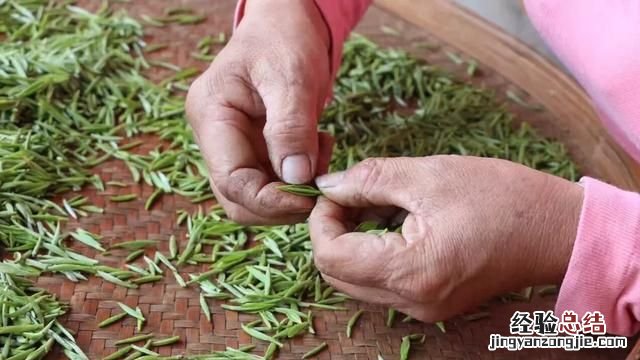 金骏眉茶到底怎么样 金骏眉茶怎么样