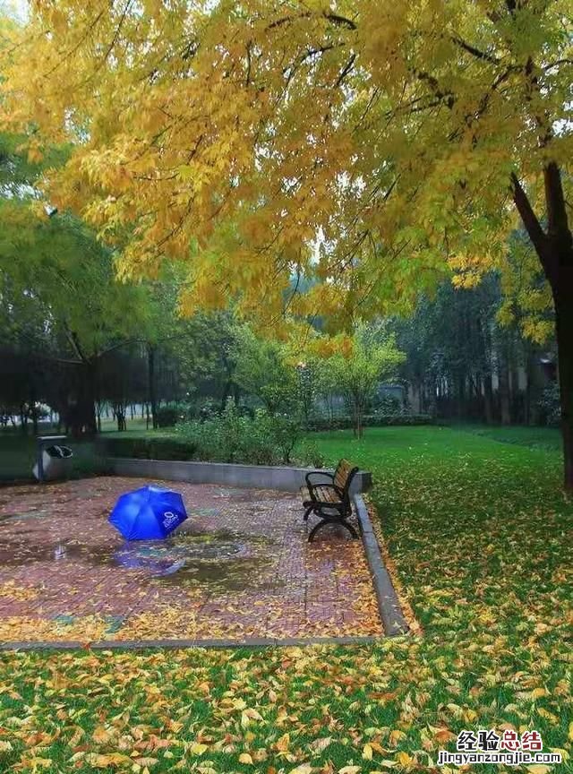 大家对一场秋雨一场寒的看法是什么意思