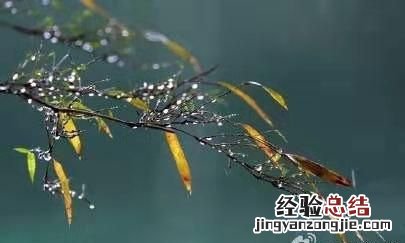 大家对一场秋雨一场寒的看法是什么意思