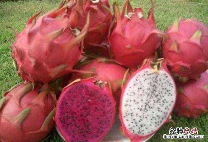 彩色饺子皮用什么蔬菜