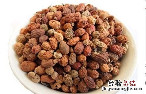 豆蔻一般指的是白豆蔻 一般卤水里的豆蔻指的是什么