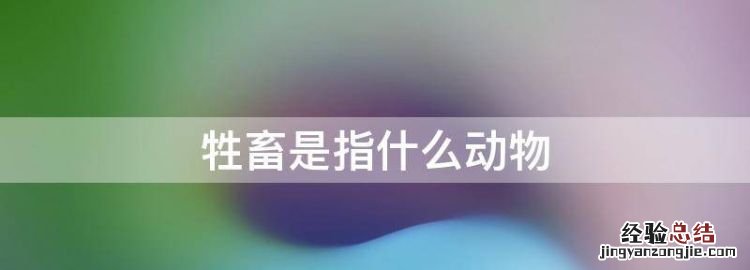 牲畜是指什么动物