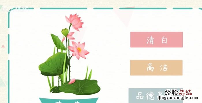 荷花的象征，莲花的寓意和象征睡莲佳句