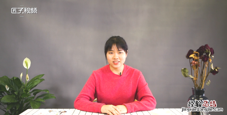朵玫瑰代表什么意思