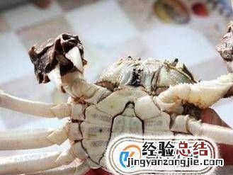 螃蟹怎么分辨屎和蟹黄，螃蟹是用什么来辨别味道