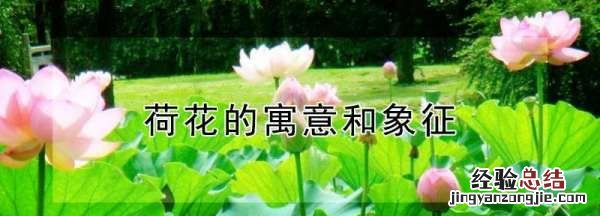 荷花的寓意和象征,荷花蜡烛梅花翠竹热水瓶落叶孔雀鹰象征什么