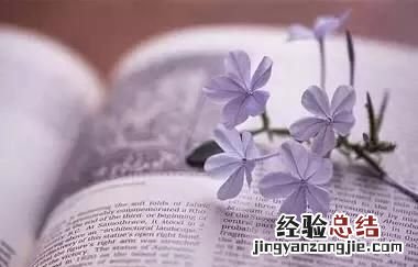 怎样做到韬光养晦