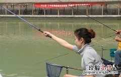 鲶鱼最喜欢吃什么饵料