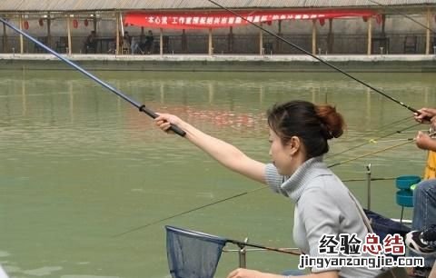 鲶鱼最喜欢吃什么饵料
