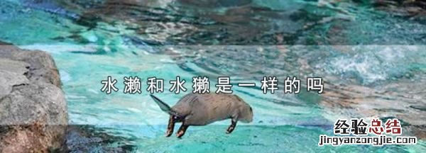 水濑和水獭是一样的,方舟水獭怎么拿神器