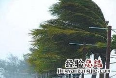台风是怎样划分等级的,台风是如何划分等级的