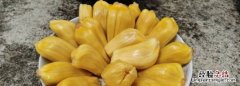 菠萝蜜能放多久