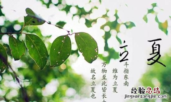 立夏是什么意思，立夏的第一杯奶茶是什么意思