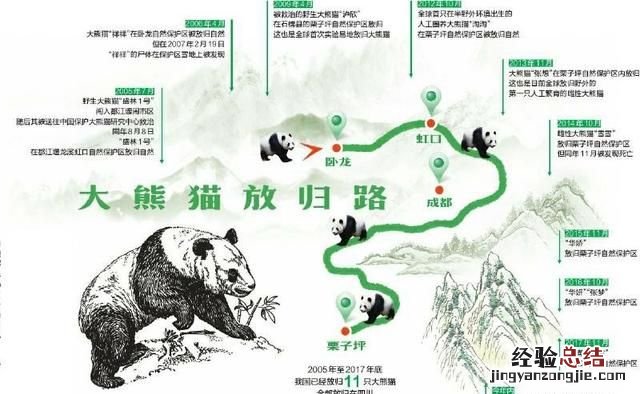 大熊猫生活在什么地方