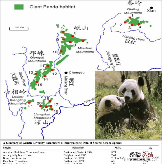 大熊猫生活在什么地方