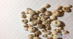 半夏种植技术