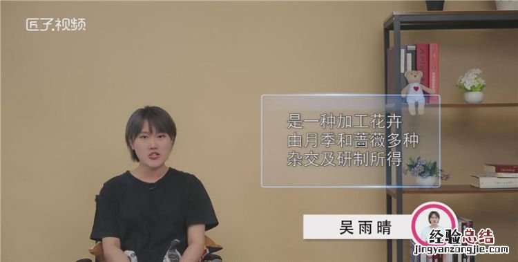 蓝色妖姬是什么花，蓝色妖姬对应的是什么花