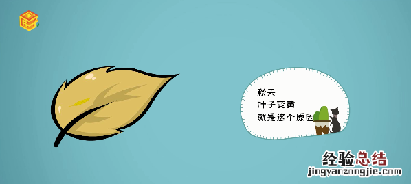 树叶为什么会变黄，中班科学树叶为什么会变黄反思